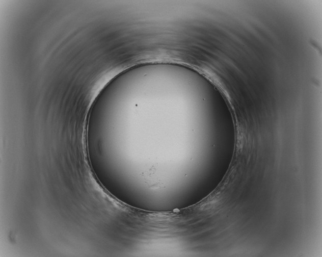 X0000103460863200809191810