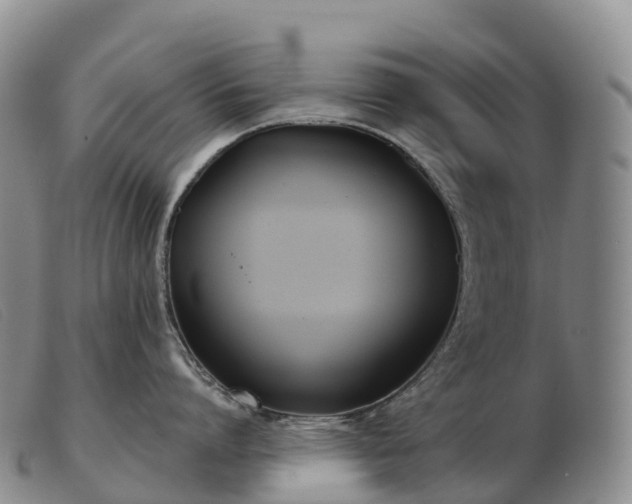 X0000103460864200809191810