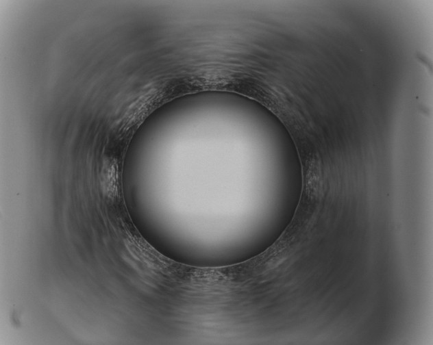 X0000103460866200809191809