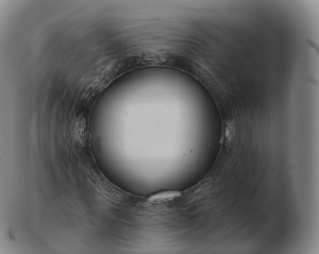 X0000103460867200809191809