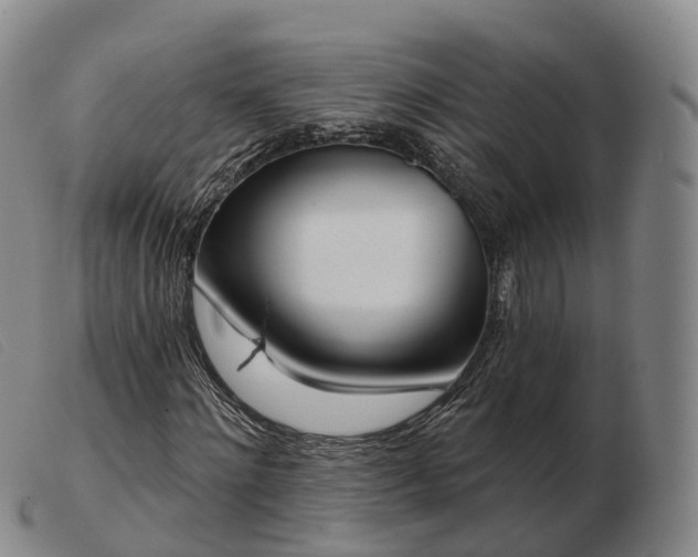 X0000103460868200809191809