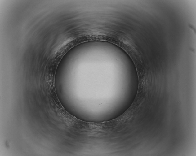 X0000103460870200809191809