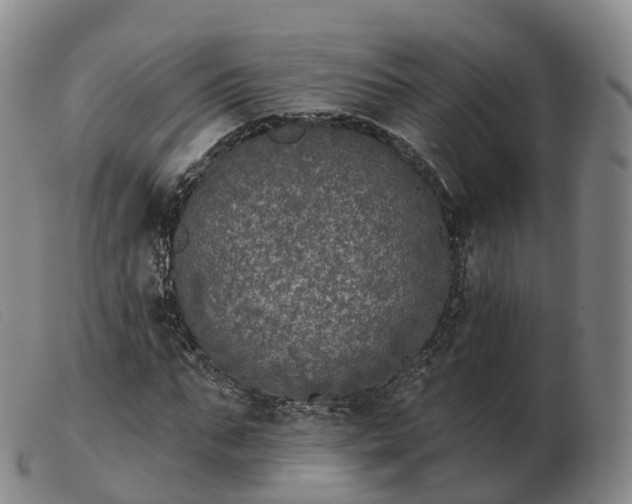 X0000103460871200809191809
