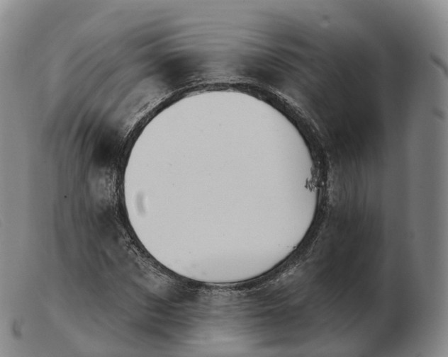 X0000103460873200809191809