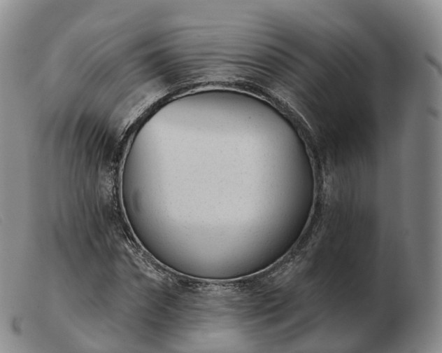 X0000103460874200809191809