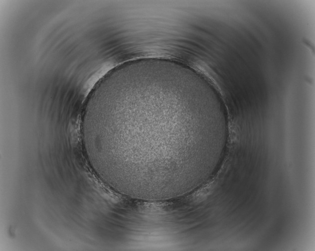 X0000103460875200809191809
