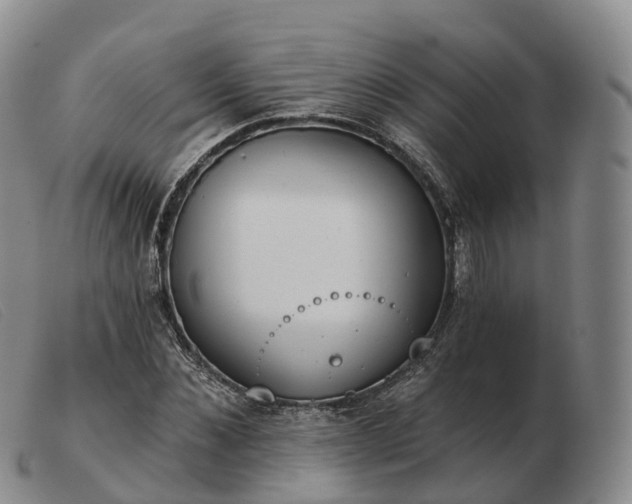 X0000103460876200809191809