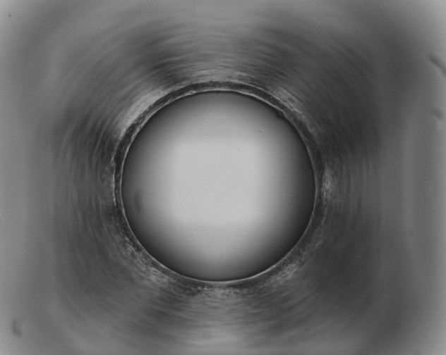 X0000103460877200809191809