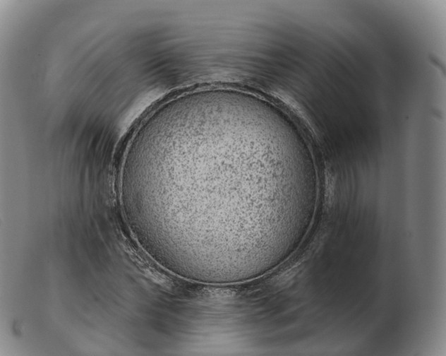 X0000103460878200809191809
