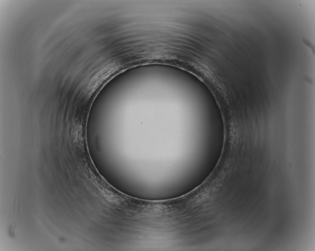 X0000103460881200809191809