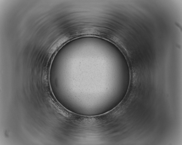 X0000103460882200809191809
