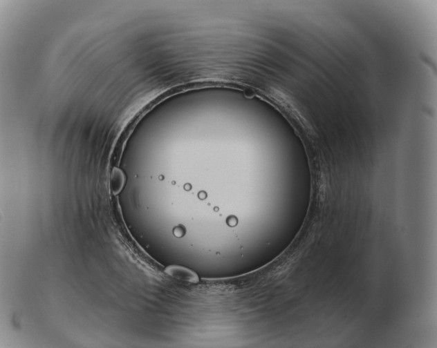 X0000103460884200809191809
