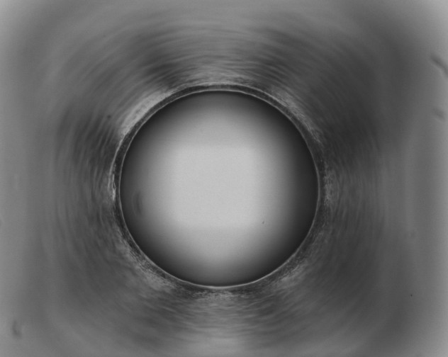X0000103460885200809191809