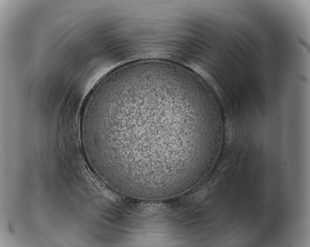X0000103460886200809191809