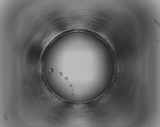 X0000103460887200809191809