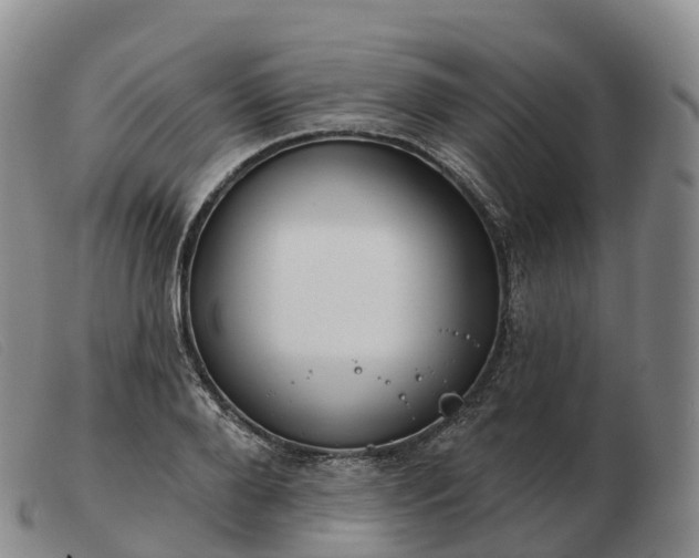 X0000103460888200809191809