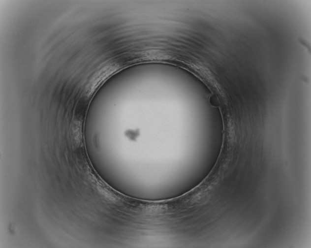 X0000103460889200809191809