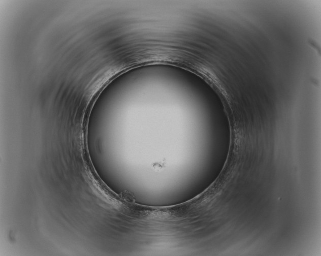 X0000103460890200809191809