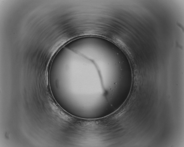 X0000103460892200809191809