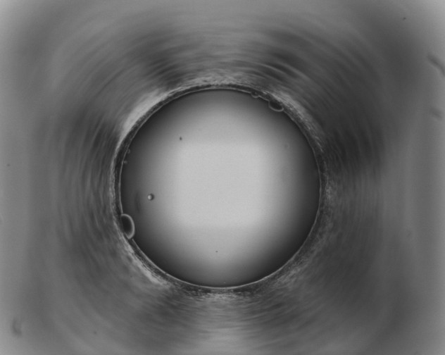 X0000103460894200809191809