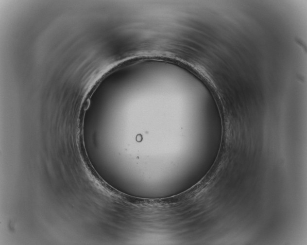 X0000103460895200809191809