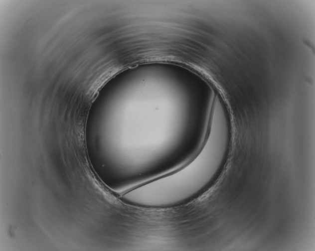 X0000103460897200809191809
