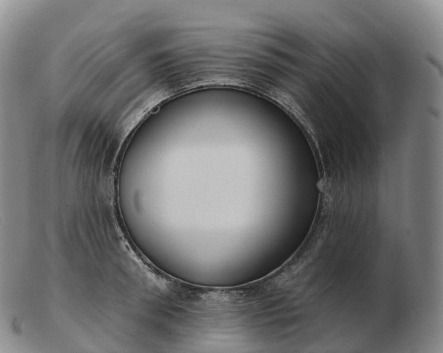 X0000103460898200809191809