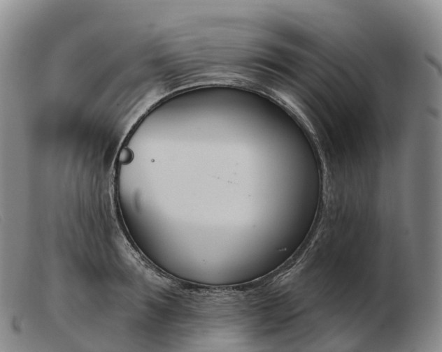 X0000103460899200809191809