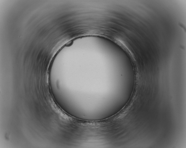 X0000103460900200809191809