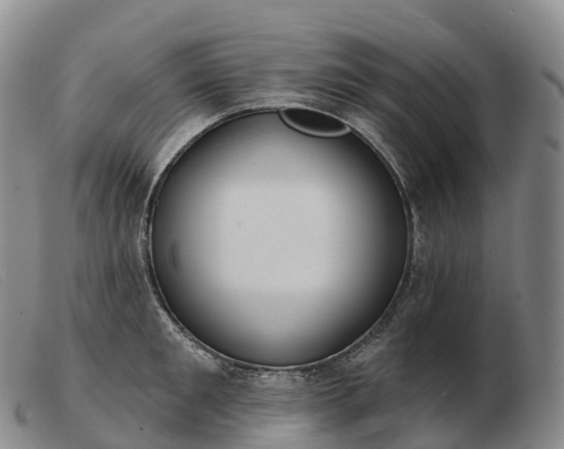 X0000103460901200809191809