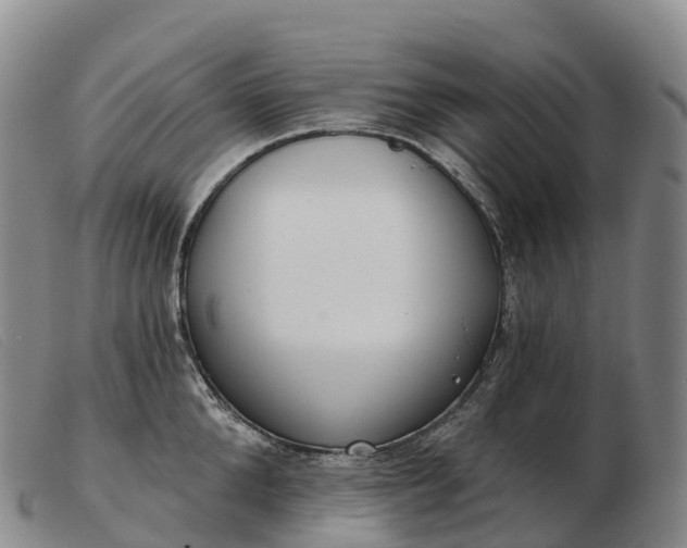 X0000103460904200809191809