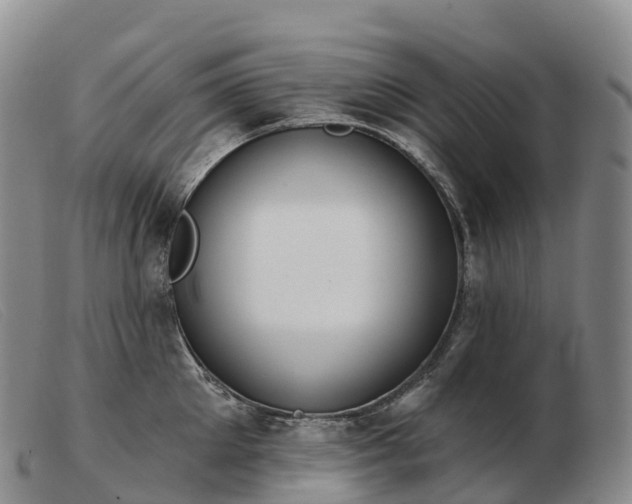 X0000103460905200809191809