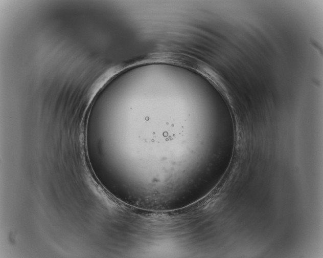 X0000103460907200809191809