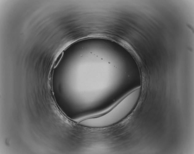 X0000103460908200809191809