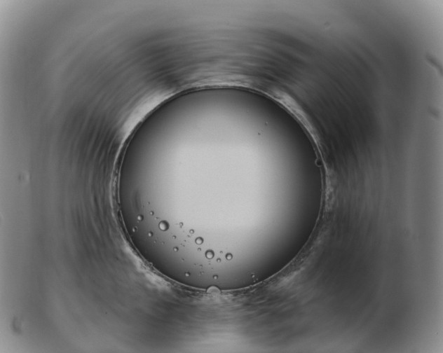 X0000103460909200809191809