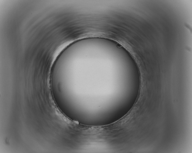 X0000103460912200809191809