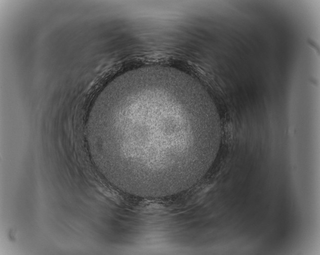 X0000103460913200809191808