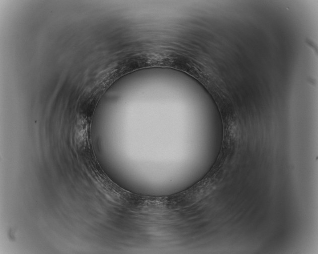 X0000103460914200809191808