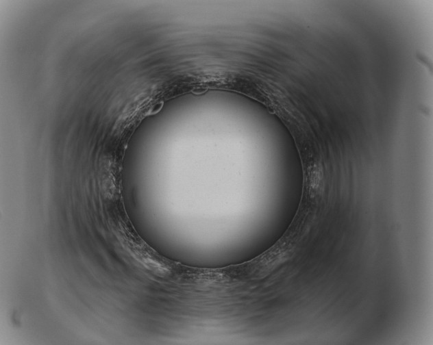 X0000103460916200809191808