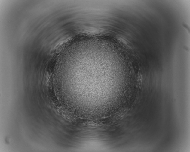 X0000103460917200809191808