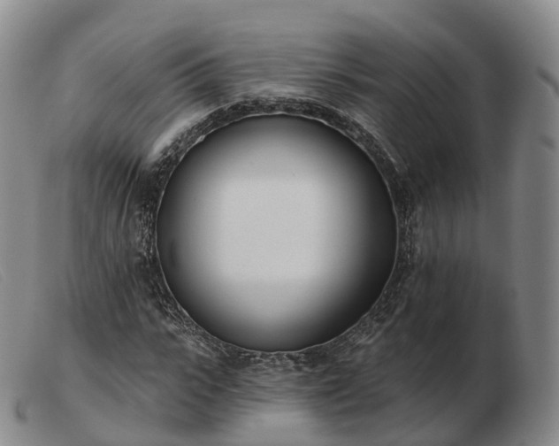 X0000103460919200809191808