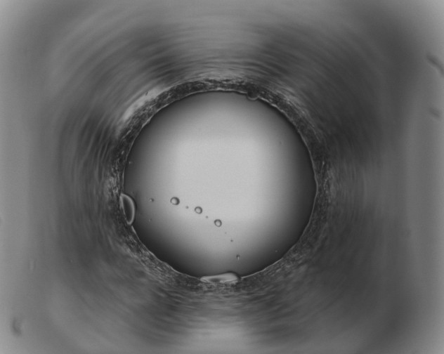 X0000103460920200809191808
