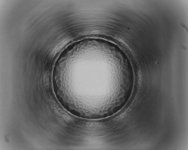 X0000103460921200809191808