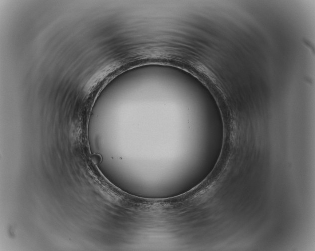 X0000103460922200809191808