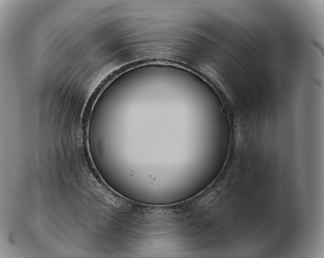 X0000103460924200809191808