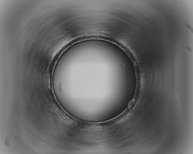 X0000103460925200809191808