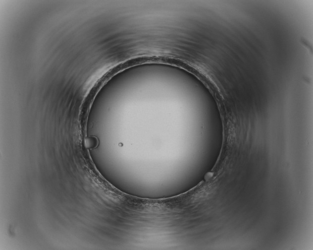 X0000103460927200809191808