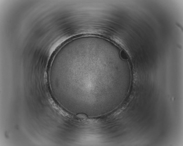 X0000103460928200809191808