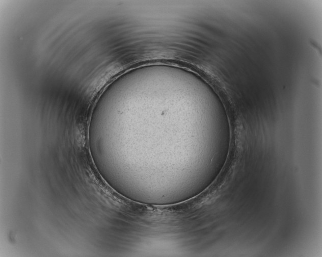 X0000103460929200809191808