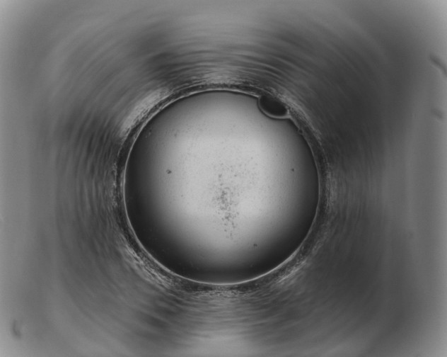 X0000103460930200809191808